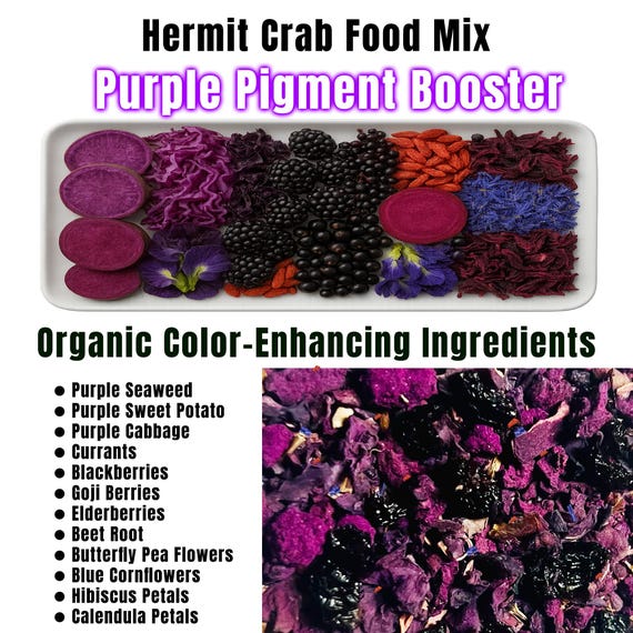 Purple Pigment Booster - Hermit Crab Food Mix