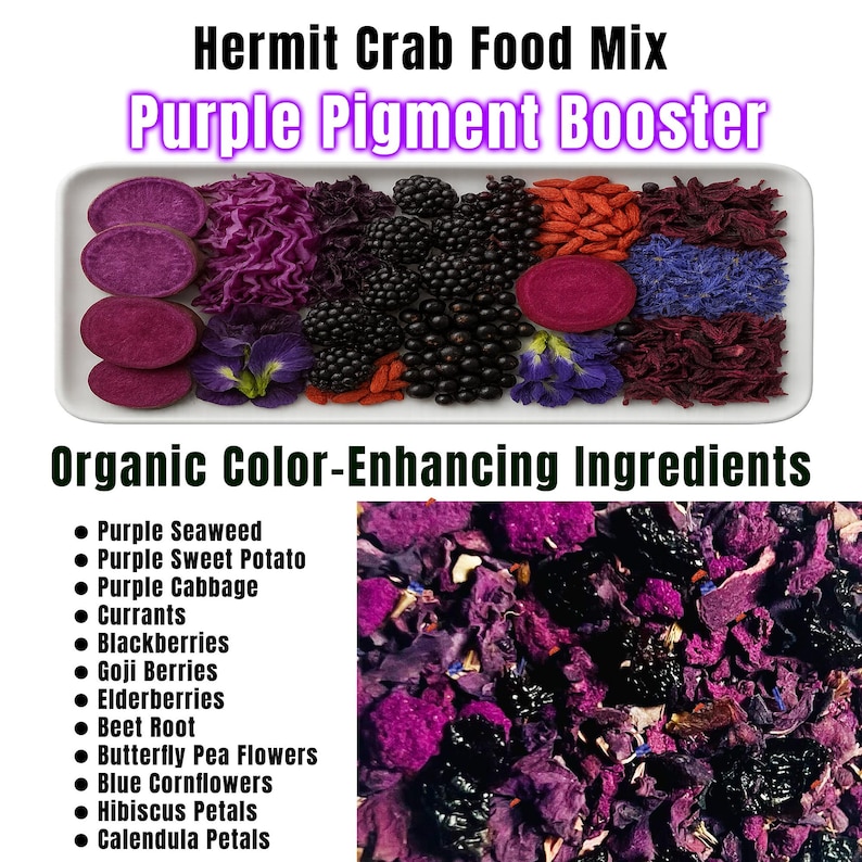 May include: A rectangular white tray displays a variety of organic ingredients for hermit crab food. The ingredients include purple sweet potato, cabbage, blackberries, and goji berries. Text reads "Hermit Crab Food Mix Purple Pigment Booster" and "Organic Color-Enhancing Ingredients."