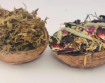 Natural Coconut Filled with Organic Sphagnum Moss or Organic Timothy Hay & Foraging Flowers (Hermit Crab Enrichment Dish)