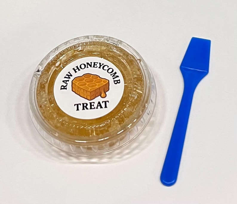 May include: A clear plastic container filled with raw honeycomb, labeled "RAW HONEYCOMB TREAT." A blue plastic spoon rests beside the container. The honeycomb is a golden yellow color.