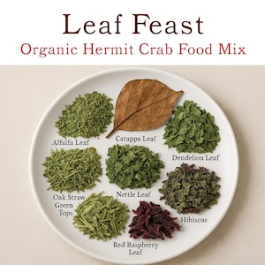 May include: A white plate displays a variety of dried leaves and herbs, including alfalfa, catappa, dandelion, nettle, and hibiscus. The text "Leaf Feast Organic Hermit Crab Food Mix" is at the top.