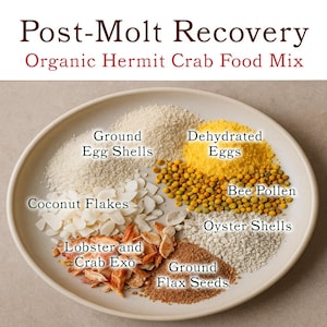 POST-MOLT RECOVERY™ - Hermit Crab Superfood Mix