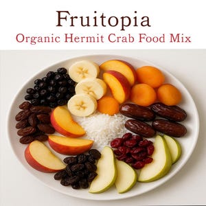May include: A white plate displays a colorful assortment of organic hermit crab food. Sliced bananas, peaches, apricots, dates, raisins, blueberries, cranberries, pears, and rice are arranged in a visually appealing pattern. The text "Fruitopia Organic Hermit Crab Food Mix" is at the top.