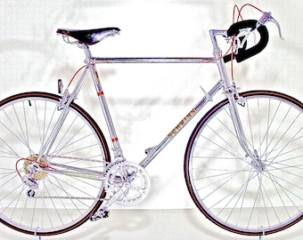 Schwinn voyageur 1985 sale