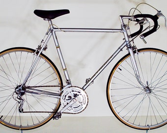 1973 Schwinn P15-9 Deluxe Touring Paramount Silver Mist 15