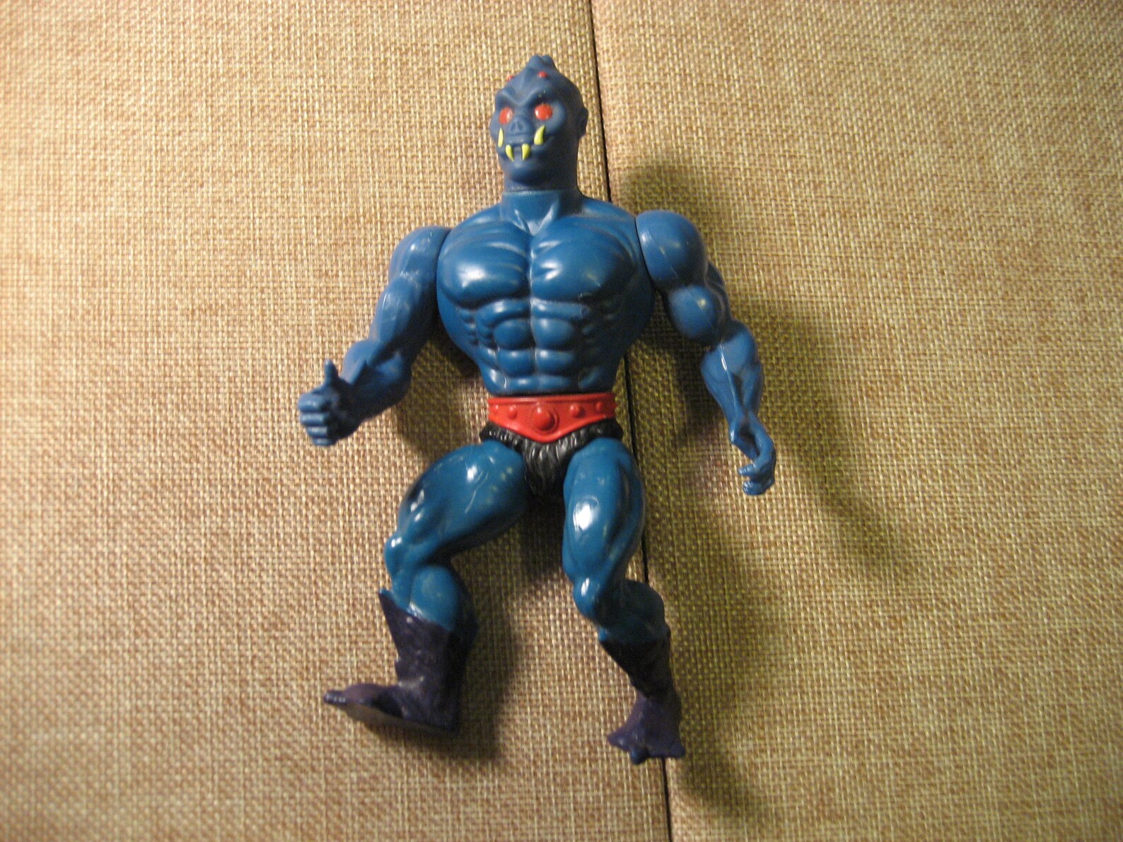 webster masters of the universe