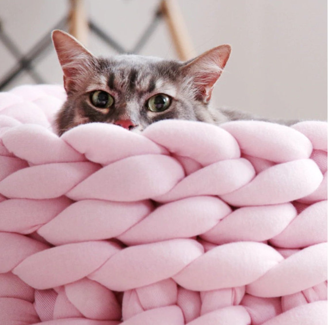 Round Modern Woven Pet Bed Woven Pet Basket Luxury Handmade Etsy