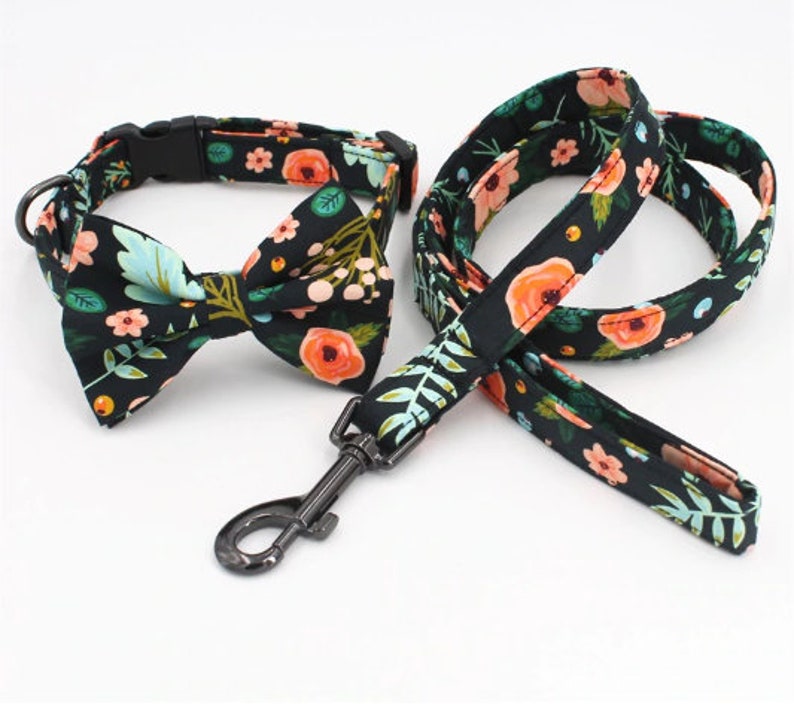 Collar with Bow and Matching Leash Cute Dog Collar Fancy Cat Etsy