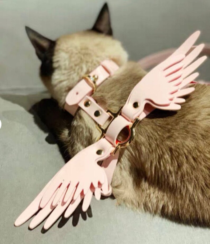 Pet Harness Leather with Wings Angel Wing Harness Unique Etsy