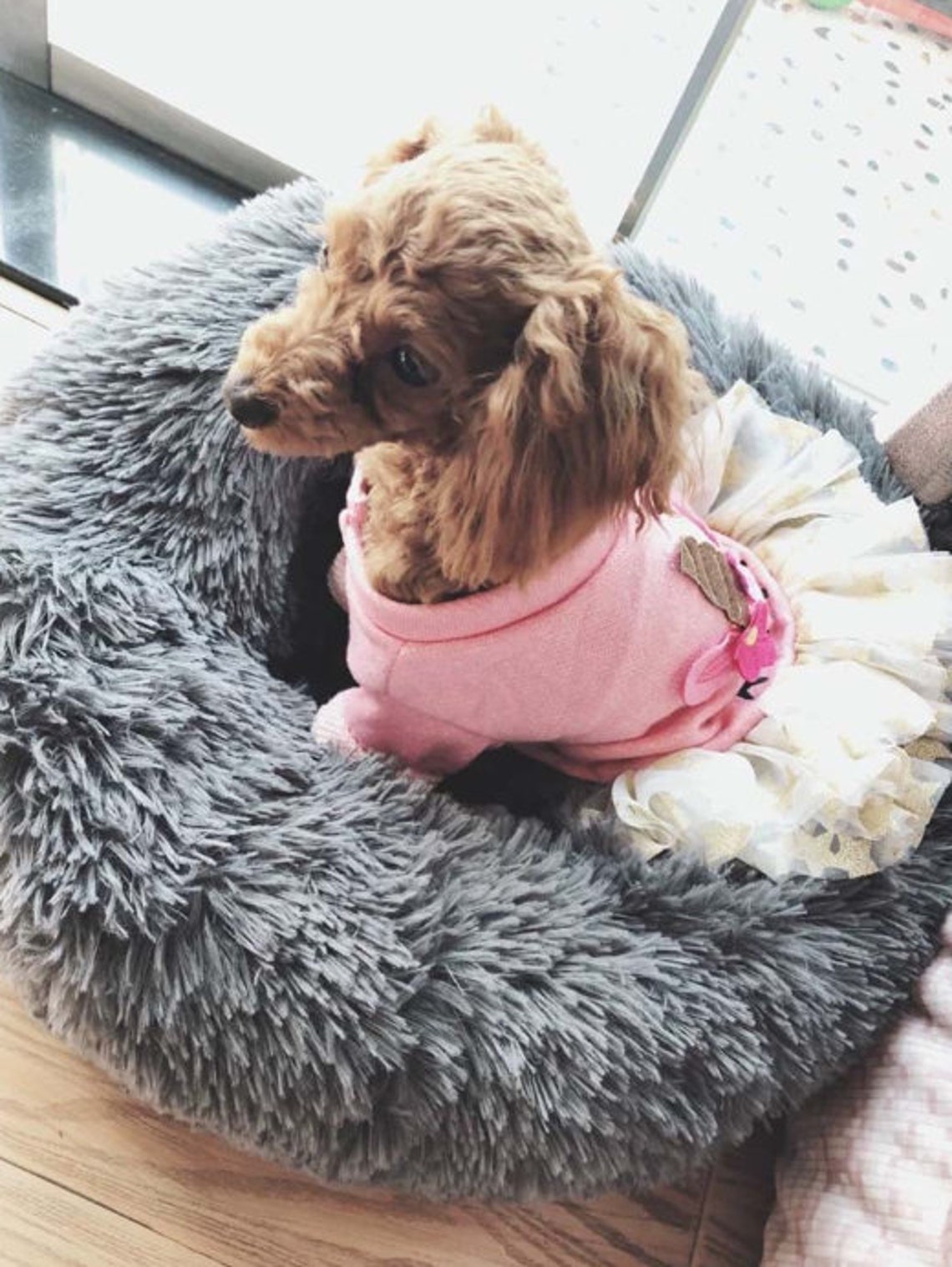 Modern Fluffy Pet Bed Fluffy Pet Pillow Luxury Dog Bed Cat Etsy