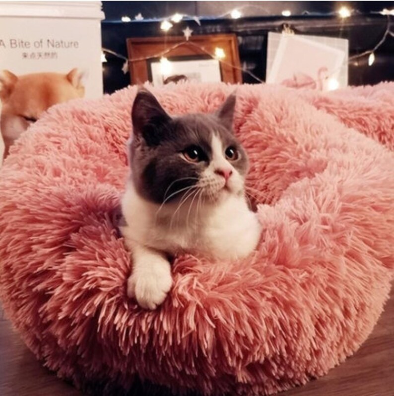 Modern Pet Bed Fluffy Pet Pillow Luxury Dog Bed Cat Bed Etsy