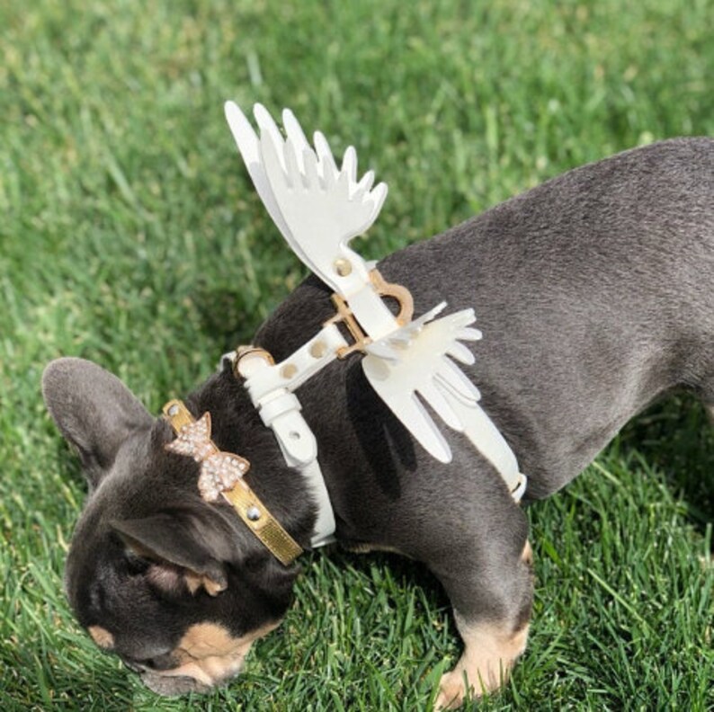 Pet Harness Leather with Wings Angel Wing Harness Unique Etsy