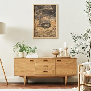Op de afbeelding: Een licht houten dressoir met drie lades en twee kastdeuren. Een ingelijste foto van een schildpad die eet, bevindt zich boven het dressoir. Een staande lamp met een beige kap en een klein groen paardenbeeldje zijn ook zichtbaar.