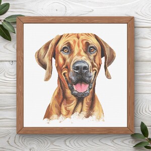 May include: A square framed cross-stitch embroidery featuring a detailed portrait of a Rhodesian Ridgeback dog. The dog has a tan coat, dark brown eyes, a black nose, and an open mouth with a visible pink tongue, set against a plain white background.