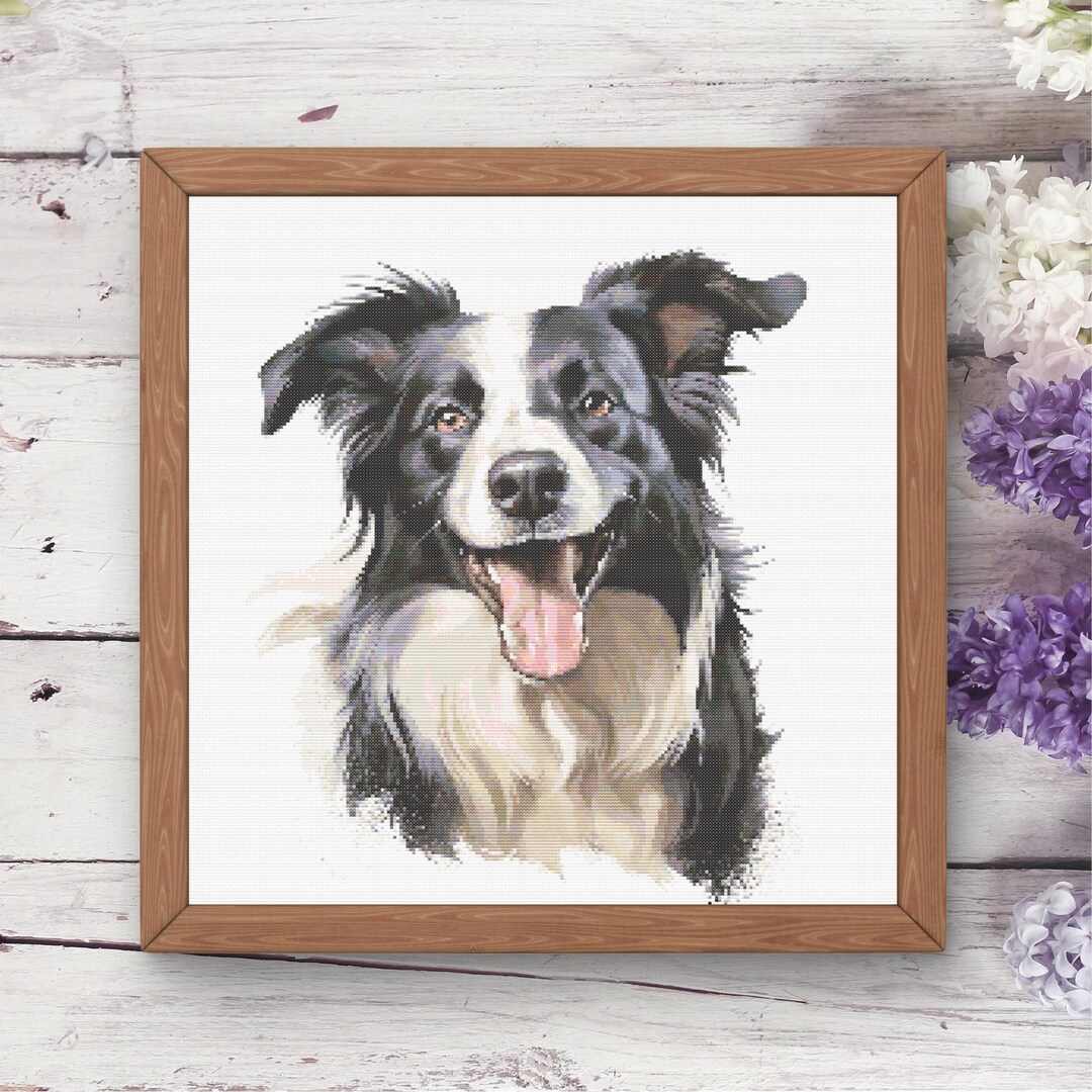 Border Collie Cross Stitch Pattern | 225 X 225 | Instant PDF Download ...