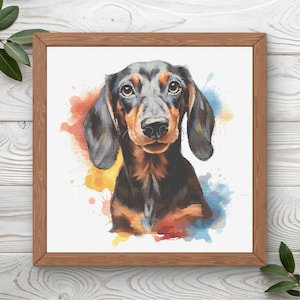 May include: A square framed wall art piece featuring a watercolor-style illustration of a black and tan dachshund. The dog is centered against a white background with vibrant splashes of orange, yellow, and blue paint surrounding its head.