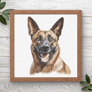 Schema punto croce per pastore belga Malinois / Schema XL / Download PDF immediato