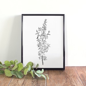 Yucca Flower Botanical Printable, Botanical Wall Art, Black and White Yucca Printable, New Mexico State Flower