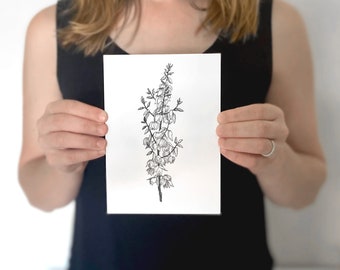 May include: A black and white botanical illustration of a flowering plant. The artwork features detailed line drawings of the plant's stem, leaves, and bell-shaped flowers. The drawing is on a white rectangular paper.