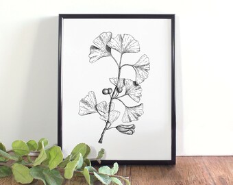 Ilustración botánica de ginkgo, arte mural botánico, árbol culantrillo imprimible en blanco y negro