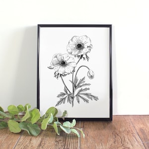 Anemone Botanische Illustration, Botanische Wandkunst, Schwarzweiß-Anemone zum Ausdrucken
