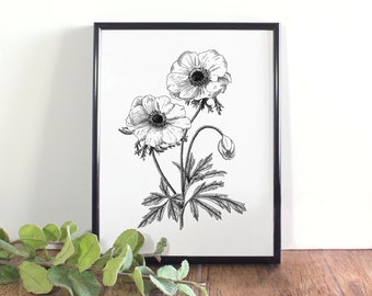 Anemone Botanical Illustration, Botanical Wall Art, Black and White Anemone Printable