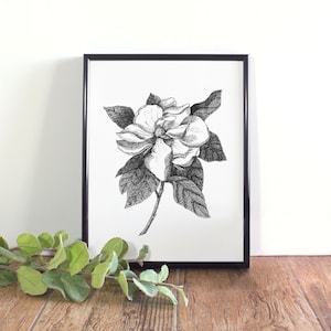Magnolie Botanische Illustration, Botanische Wandkunst, Schwarzweiß-Magnolie, Louisiana State Flower, Mississippi State Flower
