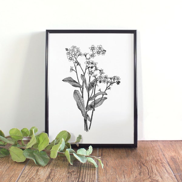 Forget-Me-Not Botanical Illustration, Botanical Wall Art, Black and White Forget-Me-Not Printable, Alaska State Flower