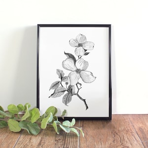 Dogwood Botanical Illustration, Botanical Wall Art, Black and White Dogwood Printable, North Carolina, Virginia State Flower
