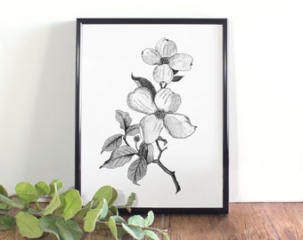 Dogwood Botanical Illustration, Botanical Wall Art, Black and White Dogwood Printable, North Carolina, Virginia State Flower