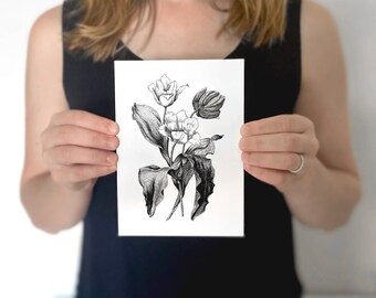 Tulip Botanical Illustration Print, Black and White Garden Art