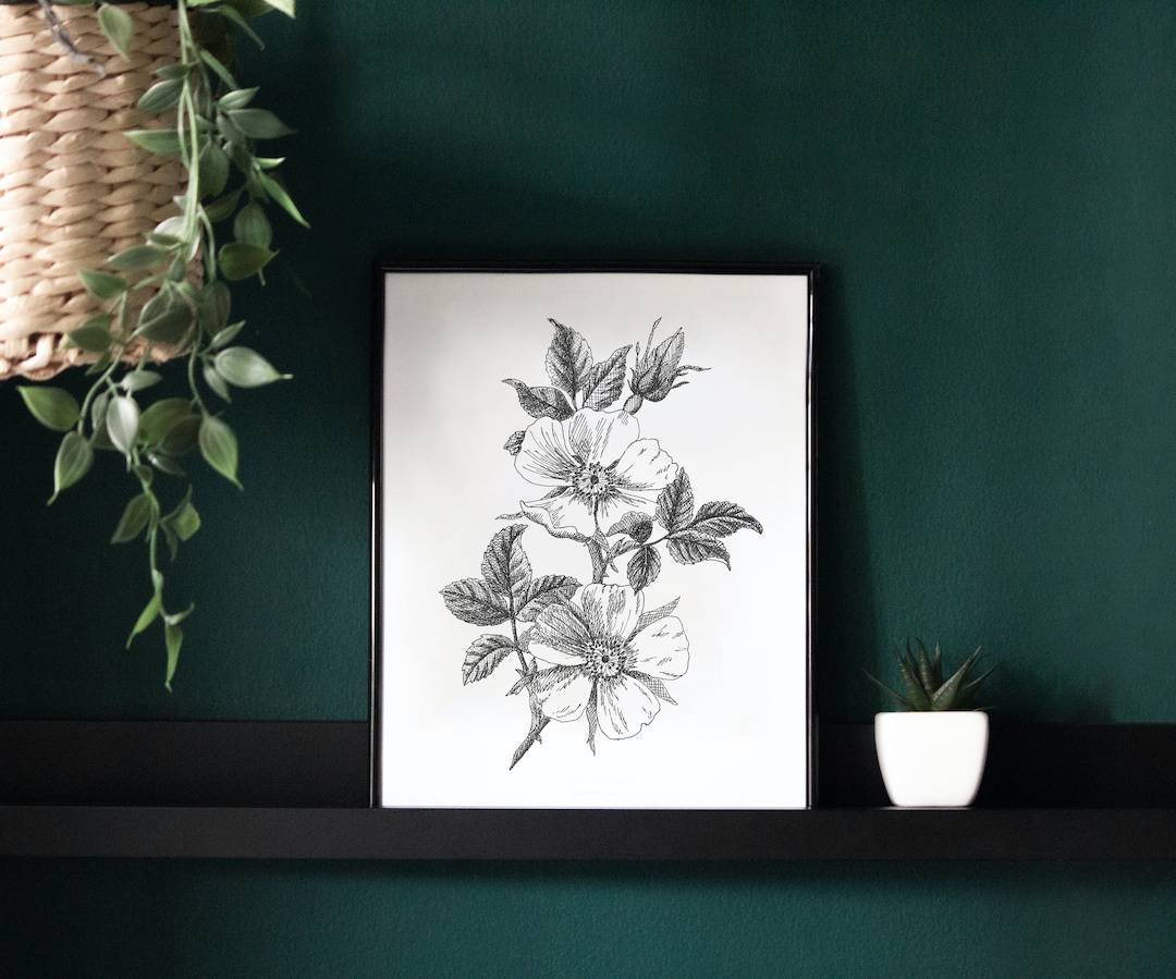 Wild Rose Botanical Illustration, Black and White Floral Print - Etsy