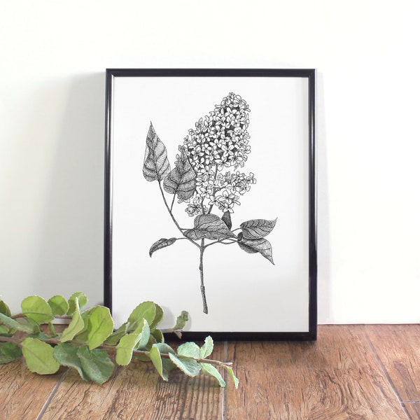 Lilac Botanical Illustration Printable, Botanical Wall Art, Black and White Lilac Printable, New Hampshire State Flower