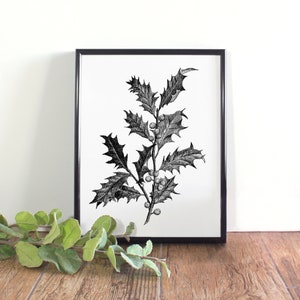 Holly Botanical Illustration, Botanical Wall Art, Black and White Christmas Printable