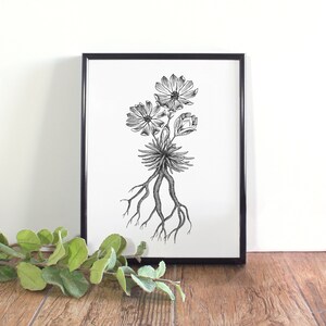 Puede incluir: Dibujo en blanco y negro de una flor con raíces. La flor tiene cinco pétalos y está en flor. Las raíces son largas e intrincadas.