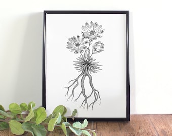 Bitterroot Botanical Illustration, Montana State Flower Art (Digital Download)