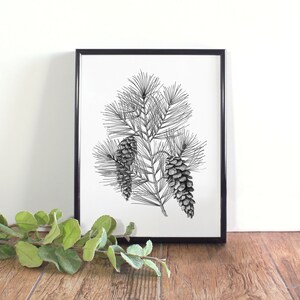 White Pine Cone & Tassel Botanical Illustration, Botanical Wall Art, Black and White Pine Cone Printable, Maine State Flower