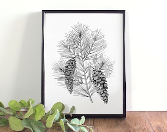 White Pine Cone Botanical Illustration, Maine State Flower Art (Digital Download)