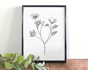 Poppy Botanical Illustration, Black and White, Printable, California State Flower