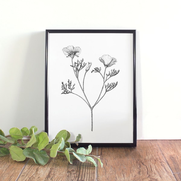 Poppy Botanical Illustration, Black and White, Printable, California State Flower