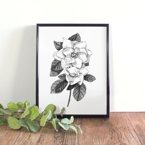 Gardenia Botanical Illustration, Botanical Wall Art, Black and White Gardenia Printable