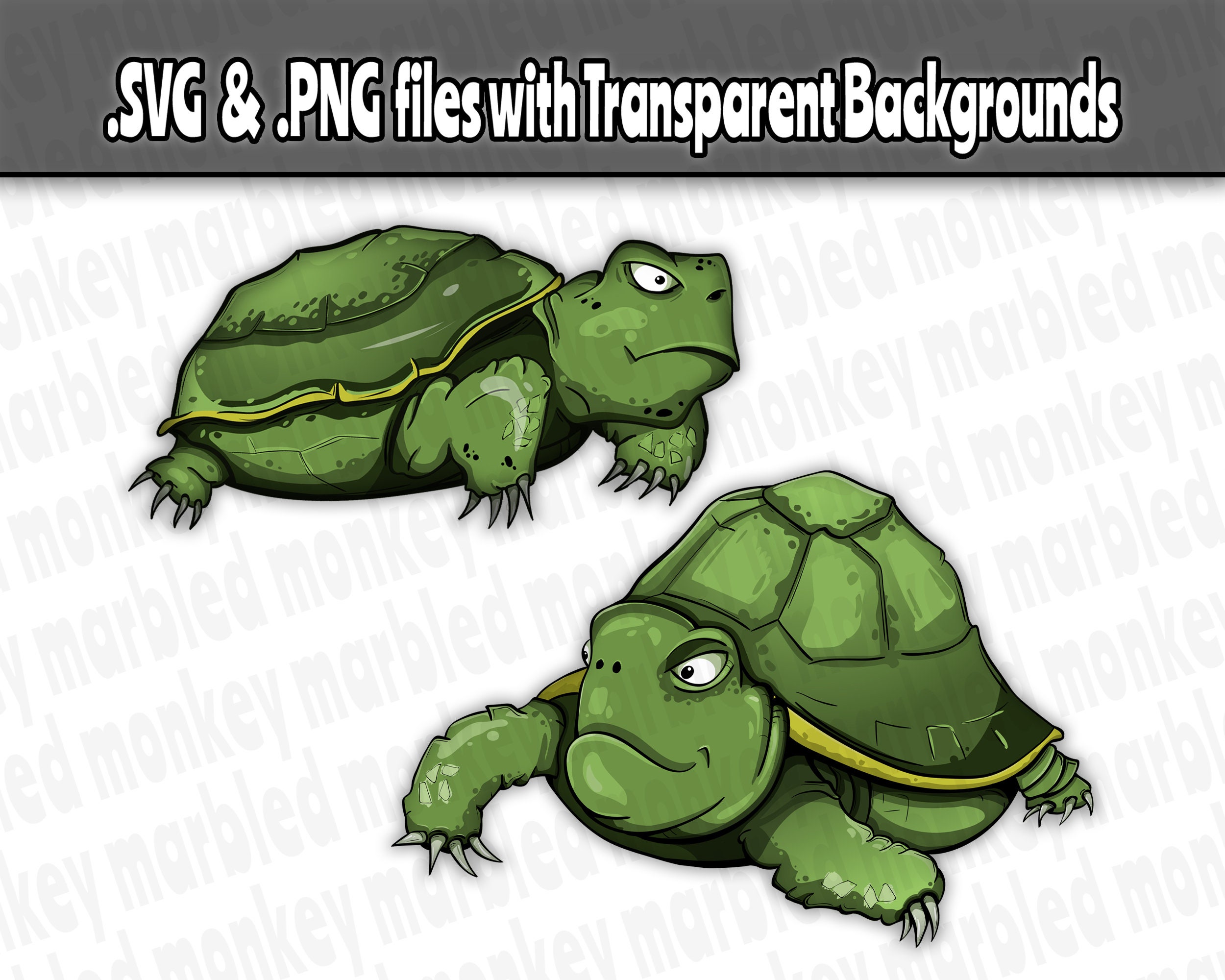 russian tortoise clipart