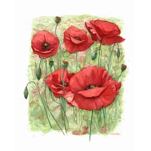 Popping Up - - Stampa 8x10 - - (Inchiostro, Pittura, Arte, Fiori, Papaveri)