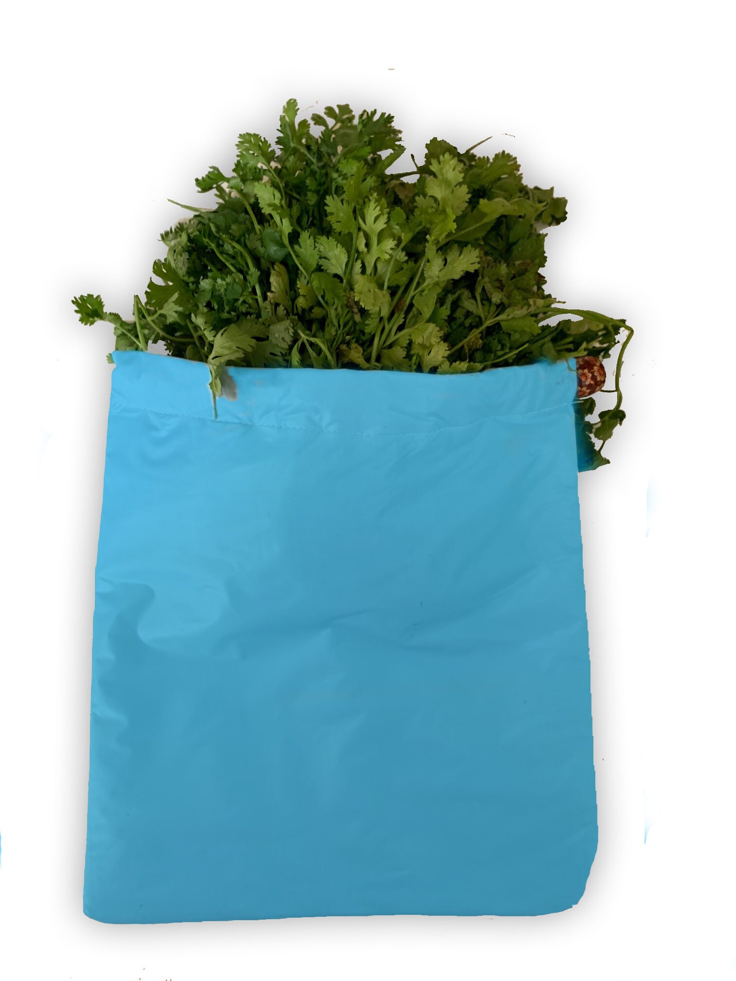 Vegetable Fridge Bags. Reusable Washable and Eco Friendlyset Etsy Canada