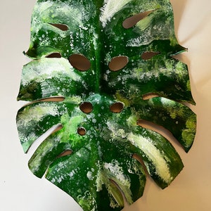 Monstera Monster Mask