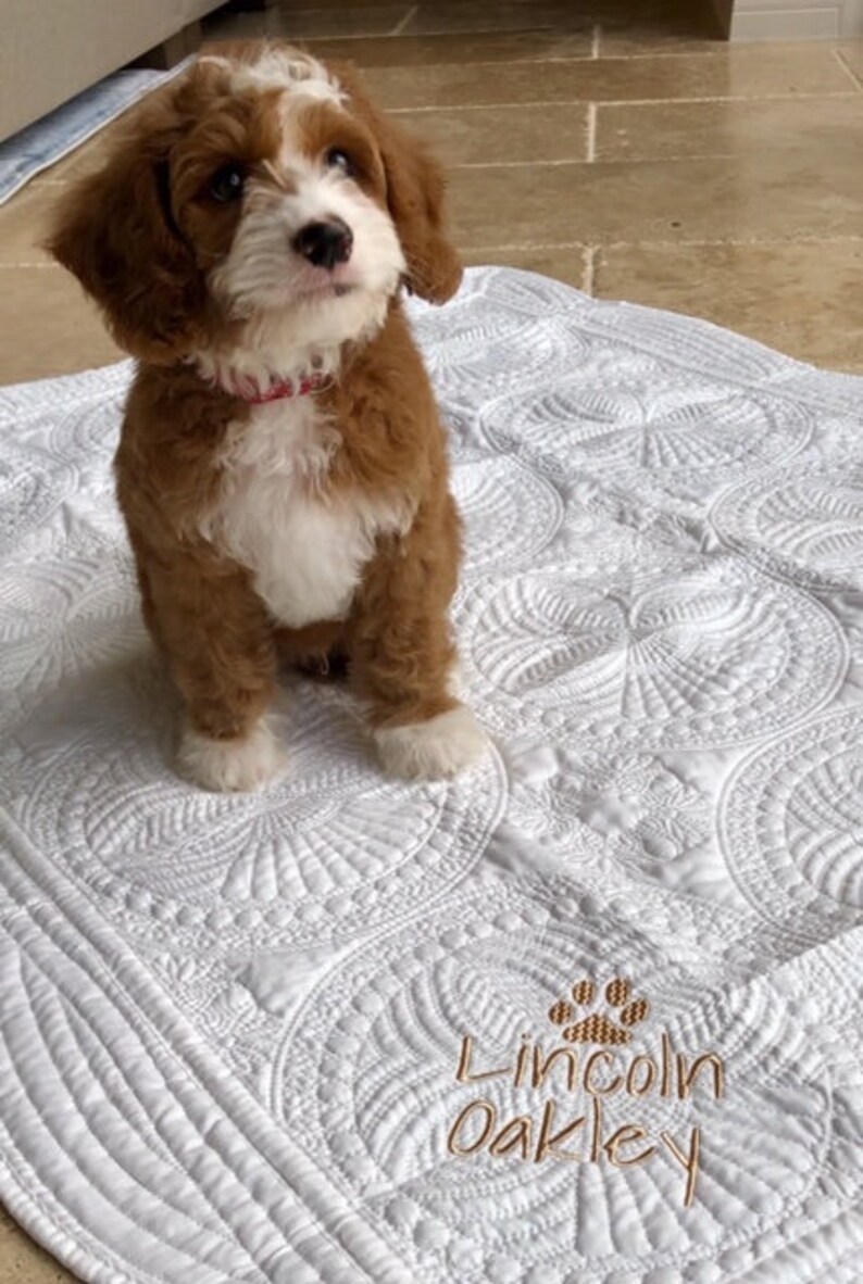 May include: A white quilted dog bed with a paw print and the name "Lincoln Oakley" embroidered on it. A brown and white puppy is sitting on the bed.