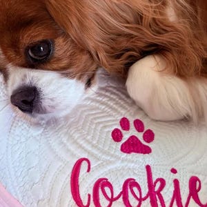 May include: A white dog bed with pink paw print embroidery and the name "Cookie" embroidered in pink.