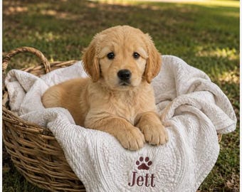 May include: A golden retriever puppy resting in a woven wicker basket on a white quilted blanket. The blanket features an embroidered dark red paw print and the name Jett in a serif font. The puppy has light golden fur and dark eyes.