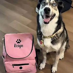 Pet Bag, Pet Weekender Bag, Personalized Pet Bag, Dog Bag, Puppy Bag, Puppy Litter image 11
