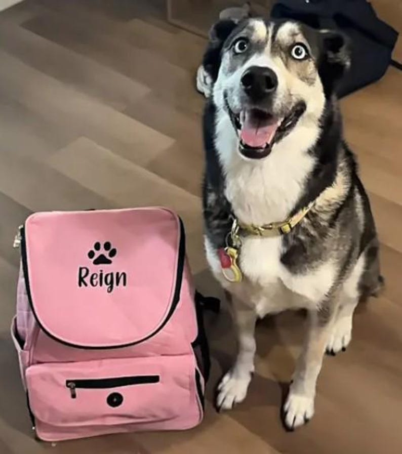 Pet Bag, Pet Weekender Bag, Personalized Pet Bag, Dog Bag, Puppy Bag, Puppy Litter image 11